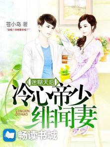 娱乐吃瓜酱妻子小说阅读,妻子背后的爱情故事